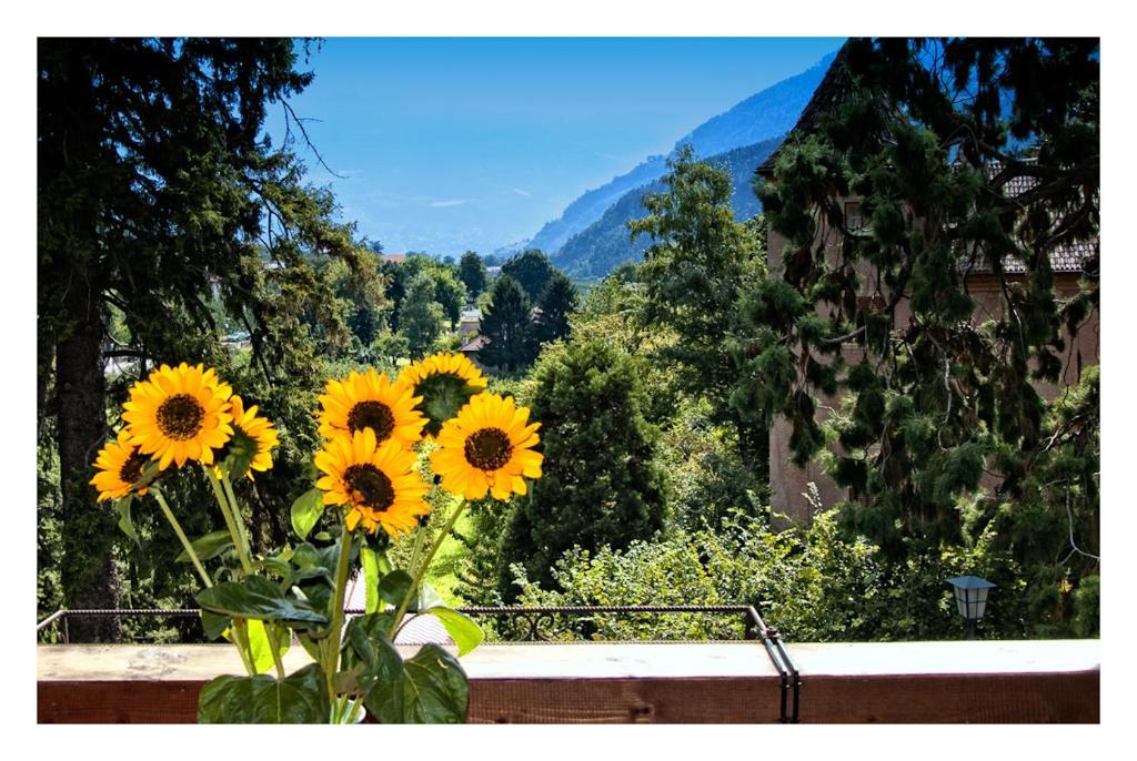 Apparthotel Taufenbrunn Parcines Esterno foto
